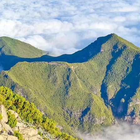 Encarnacao Funchal, A Home In Madeira