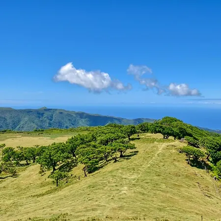 Encarnacao Funchal, A Home In Madeira Funchal (Madeira)