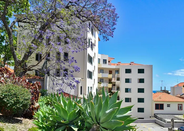 Encarnacao Funchal, A In Madeira