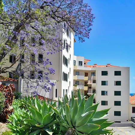 Encarnacao Funchal, A Home In Madeira