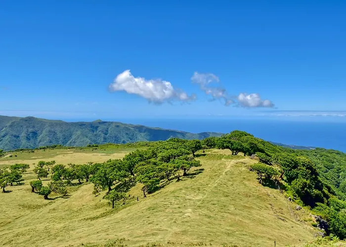 Encarnacao Funchal, A In Madeira 푼샬